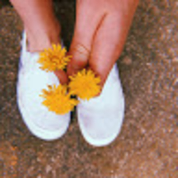 Meet your Posher, Reagan - Picture 1 of 1